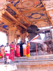 Nandi, Thanjavur, 2008